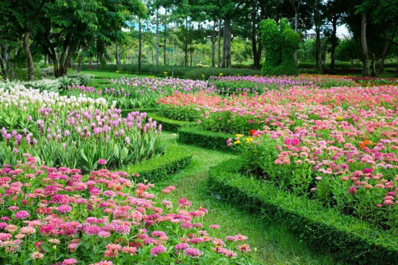 Créer et aménager un jardin à l’anglaise - créer les massifs et vivaces