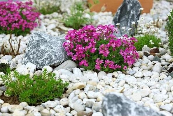 Tout ce qu’il faut savoir sur le jardin de rocaille