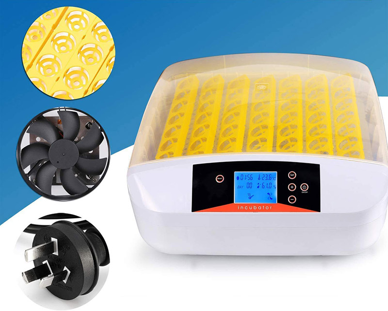 test Couveuse Incubateur 55 œufs automatique Incubateur automatique Avec à affichage numérique et contrô