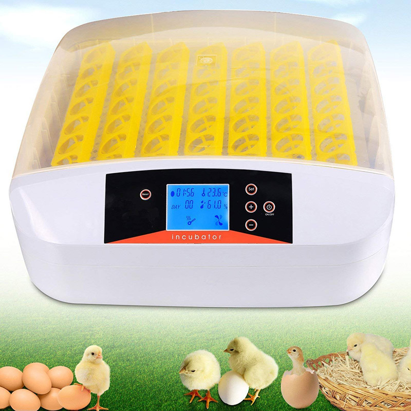 test et avis Couveuse Incubateur 55 œufs automatique Incubateur automatique Avec à affichage numérique e