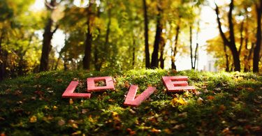 11 arbres aux feuilles en forme de cœur pour insuffler une touche de romantisme à votre jardin