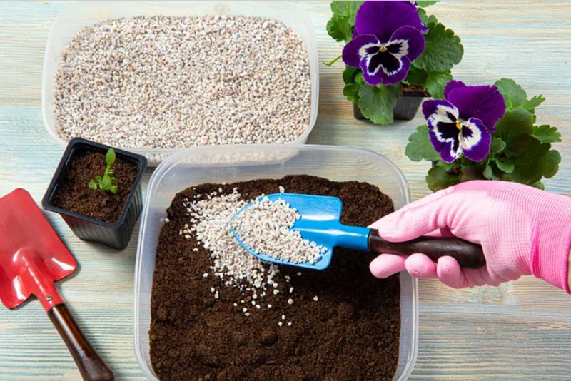 Découvrez le Pouvoir du Perlite : Comment Cette Roche Protège Vos Plantes de la Pourriture des Racines