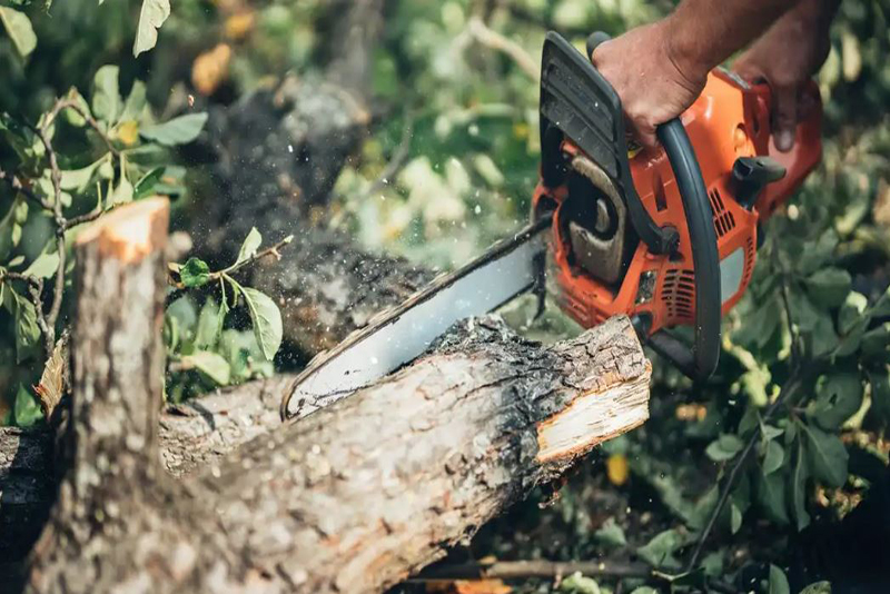 Astuces Essentielles pour Utiliser votre Tronçonneuse en Toute Sécurité et avec Efficacité