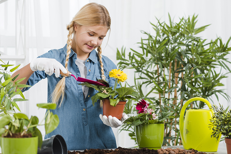 7 Astuces pour des Massifs Floraux Plus Verdoyants et Abondants