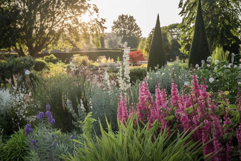 Quand Tailler Vos Arbres Pour un Jardin Éclatant