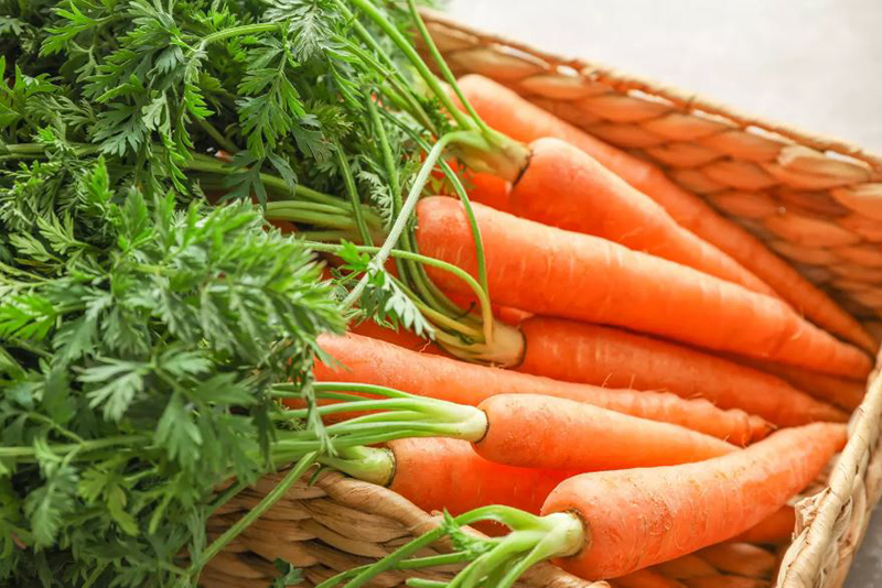 Ne Passez Pas à Côté des Feuilles de Carotte : Les Chefs Révèlent Pourquoi Vous Devriez en Profiter