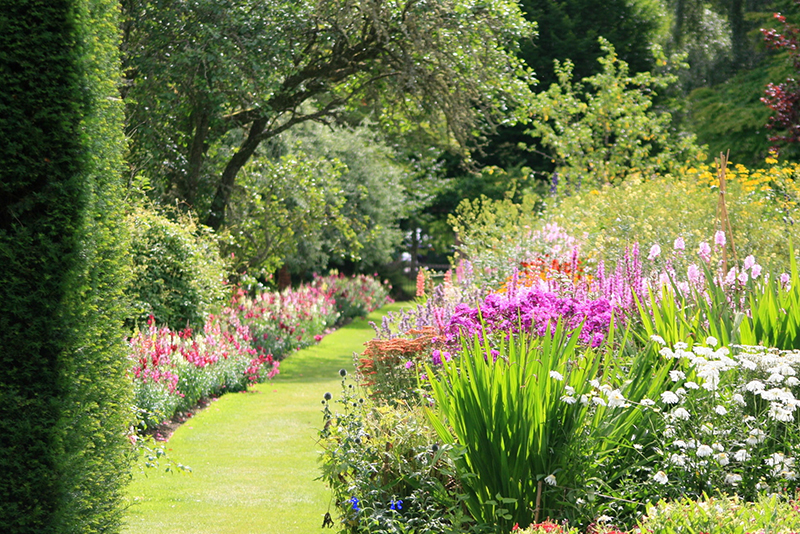 Les averses d'avril annoncent-elles vraiment des fleurs en mai ? L'avis d'un pro du jardinage