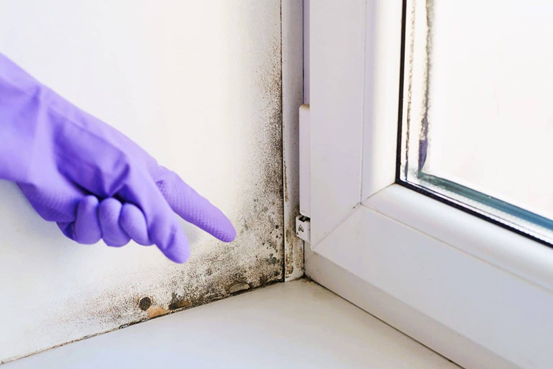 De la moisissure chez vous ? Voici le bricolage que les experts déconseillent absolument