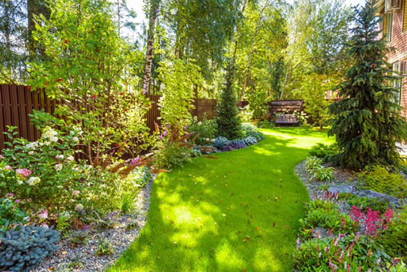 5 astuces de pro pour éviter un jardin détrempé avant qu'il ne compromette votre aménagement paysager (ou votre maison !)