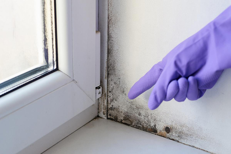 8 Causes de l'Humidité dans Votre Maison et Comment les Résoudre Avant l'Invasion de Moisissures et de Dégâts