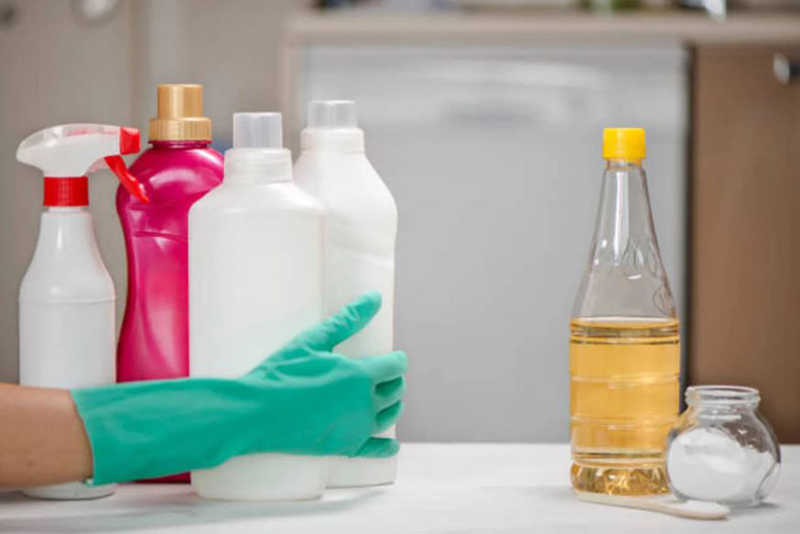 Le Vinaigre est-il Efficace Contre les Mouches? Désinsectisation Décryptée par des Experts de la Propreté