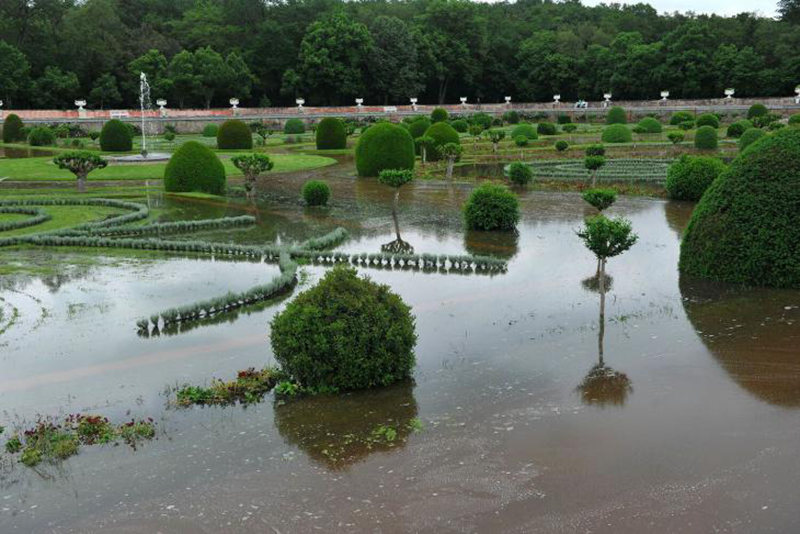 Cette Erreur de Drainage Peut Ruiner Votre Jardin et Vous Coûter des Milliers d'Euros