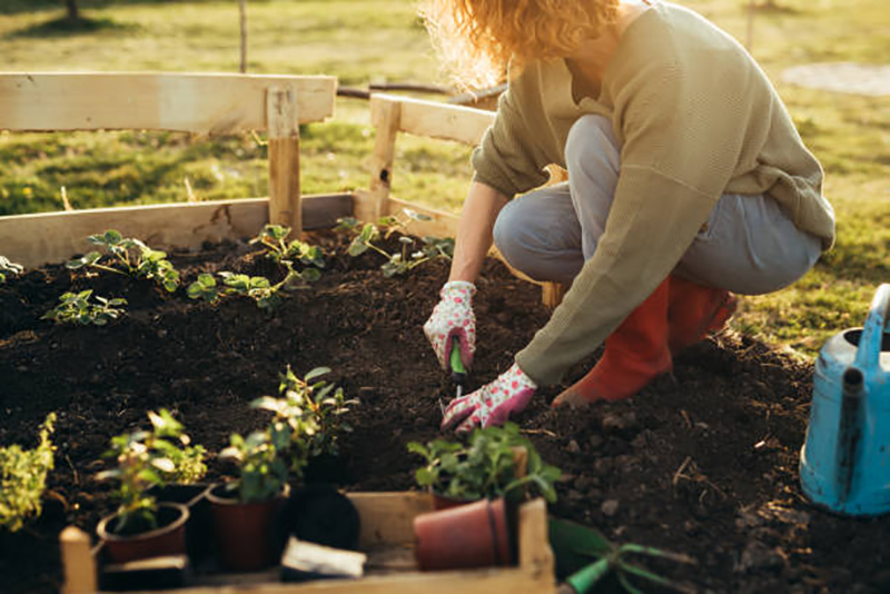 Découvrez les 20 Astuces de Jardinage Incontournables des Maîtres du DIY Économique