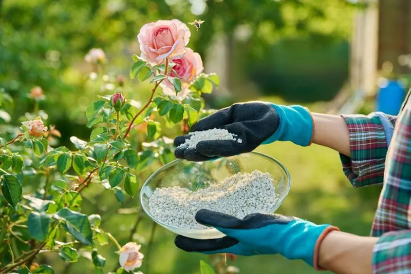 Ne Jetez Plus ! 14 Objets de Cuisine à Réutiliser dans Votre Jardin