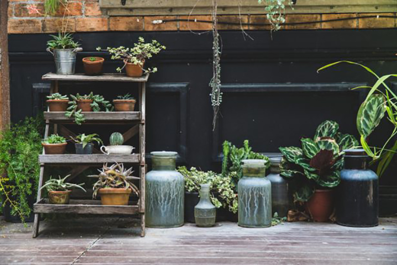 9 astuces pour transférer vos plantes d'intérieur à l'extérieur cet été sans les abîmer