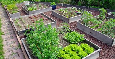8 Méthodes Simples pour Réparer et Prolonger la Durée de Vie de Votre Jardin Surélevé