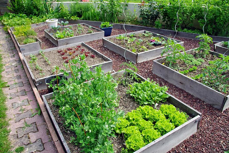 8 Méthodes Simples pour Réparer et Prolonger la Durée de Vie de Votre Jardin Surélevé
