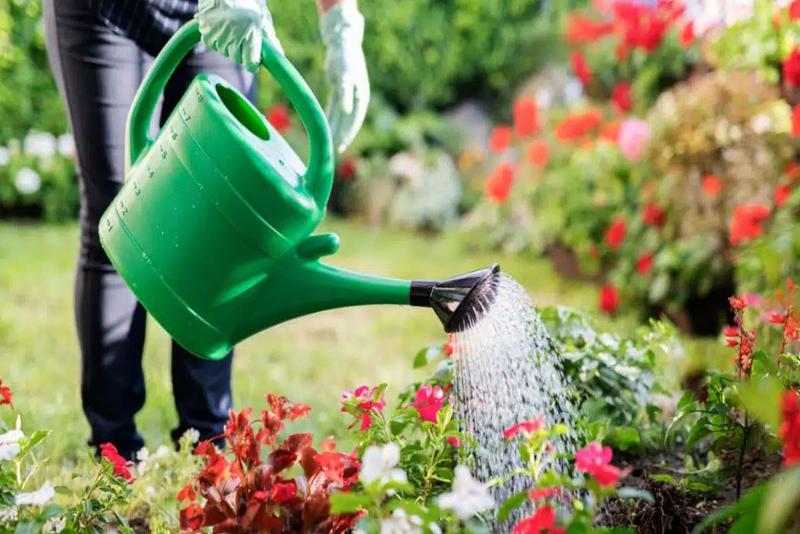 Ces éléments de votre jardin qui pourraient faire grimper votre facture d'énergie cet été