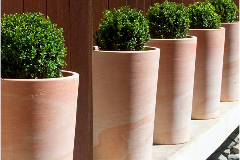 4 plantes à ne jamais planter dans un pot en terre cuite