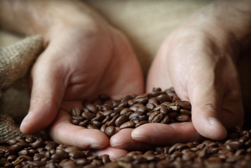 Pourquoi les Marc de Café Envahissent Nos Frigos L’Opinion des Pros du Nettoyage