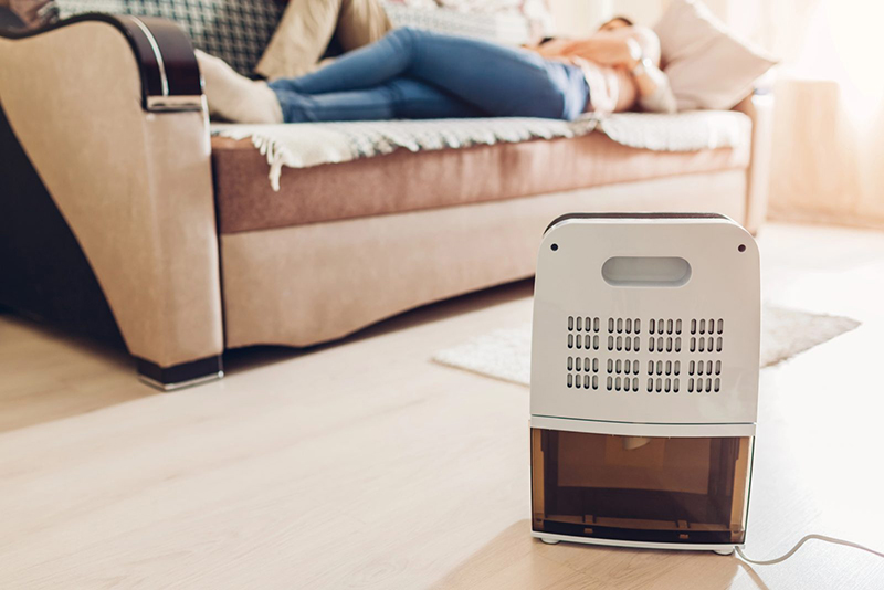 6 Astuces Simples pour Garder votre Sous-Sol Sec sans Déshumidificateur, selon les Experts en Habitat