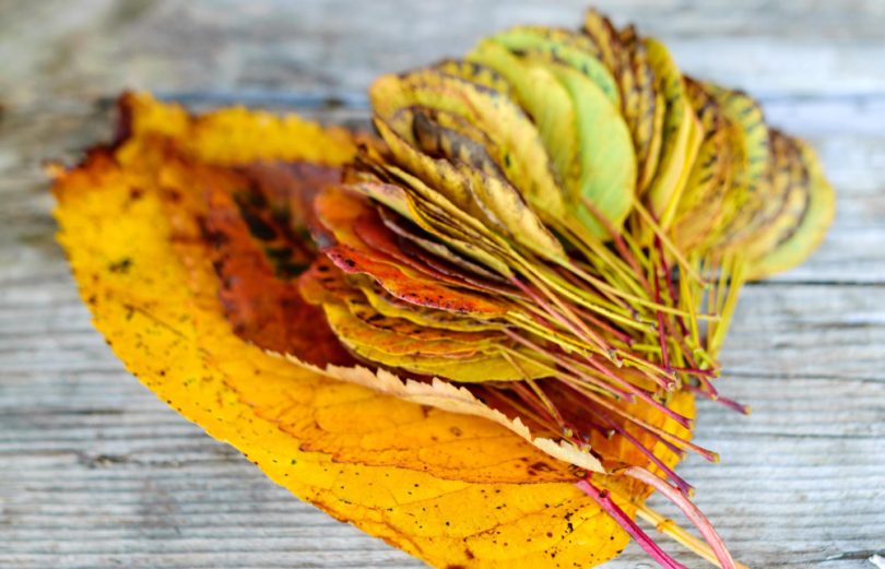 Les 6 objets que les pros de l'organisation éliminent de leur entrée avant l'automne