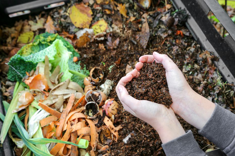 Ma Mère Jardine Depuis Plus de Dix Ans Découvrez le Seul Engrais Qu'elle Jure par Efficacité