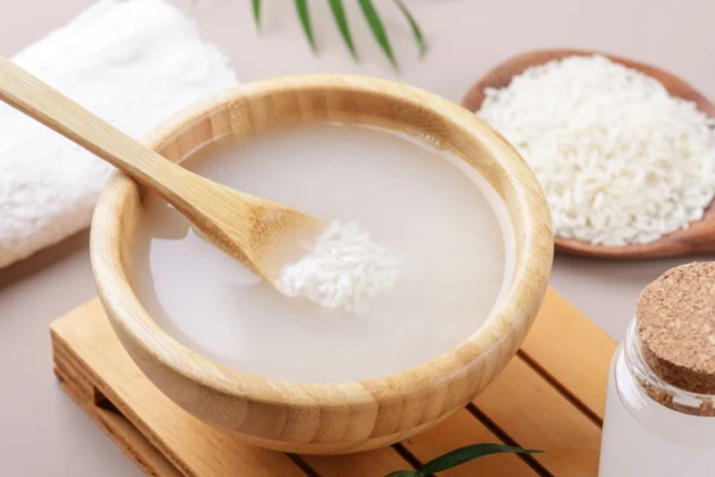 Pourquoi Utiliser l'Eau de Riz pour vos Plantes pour Faire Toute la Différence