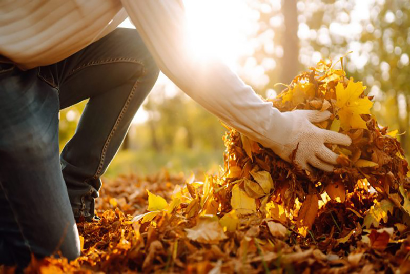 5 Astuces de Nettoyage des Pros pour un Automne Frais Les Endroits à Purifier en Septembre