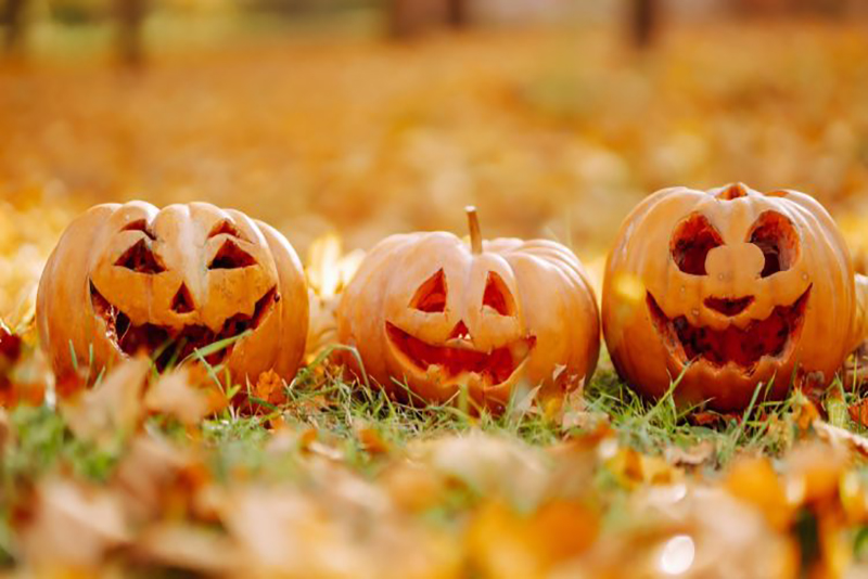 Halloween Astuces pour Protéger Vos Citrouilles des Écureuils!