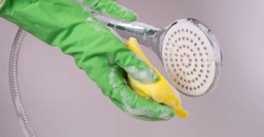 Les Experts en Nettoyage Révèlent La Fréquence Inattendue pour L'entretien de Votre Pommeau de Douche
